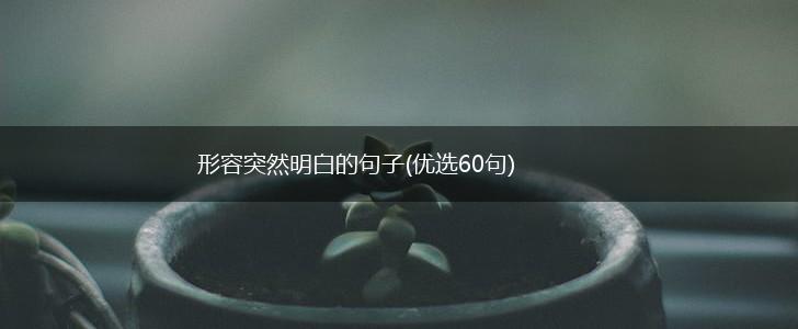 形容突然明白的句子(优选60句),第1张