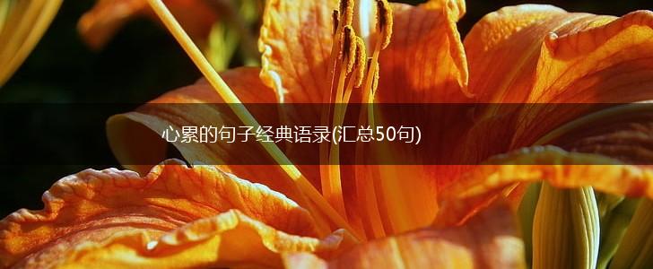 心累的句子经典语录(汇总50句),第1张