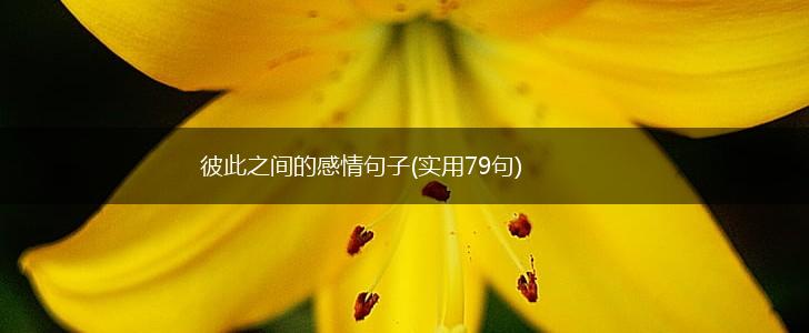 彼此之间的感情句子(实用79句),第1张