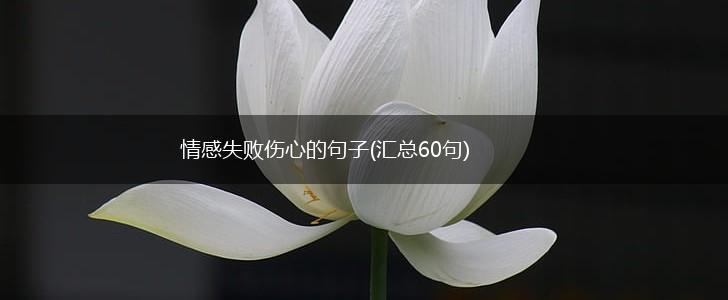 情感失败伤心的句子(汇总60句),第1张
