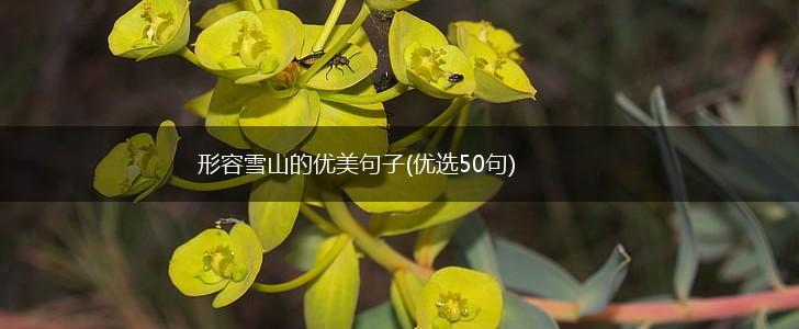 形容雪山的优美句子(优选50句),第1张