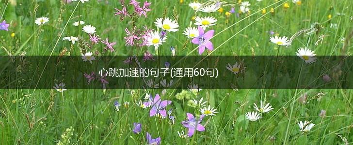 心跳加速的句子(通用60句),第1张