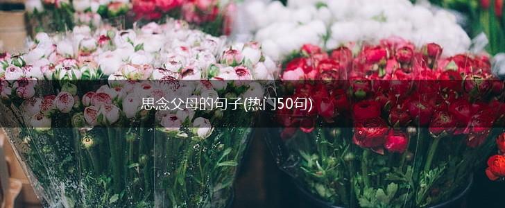 思念父母的句子(热门50句),第1张