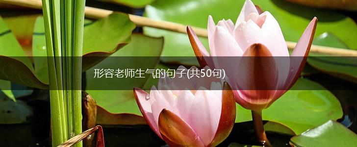 形容老师生气的句子(共50句),第1张