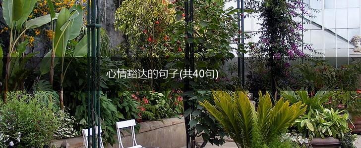 心情豁达的句子(共40句),第1张