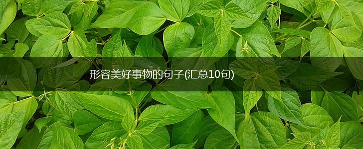 形容美好事物的句子(汇总10句),第1张
