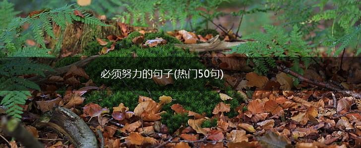 必须努力的句子(热门50句),第1张
