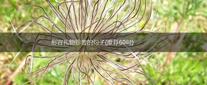 形容礼物珍贵的句子(推荐60句),第1张