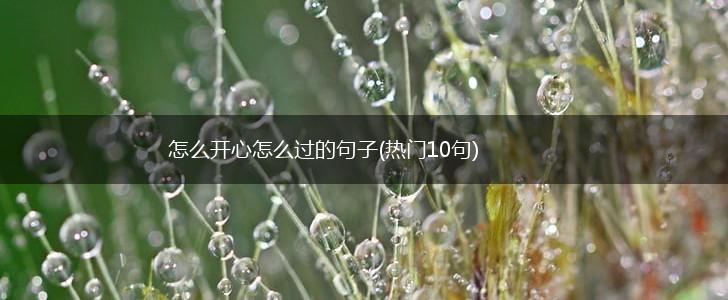 怎么开心怎么过的句子(热门10句),第1张