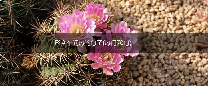 形容车间热的句子(热门70句),第1张