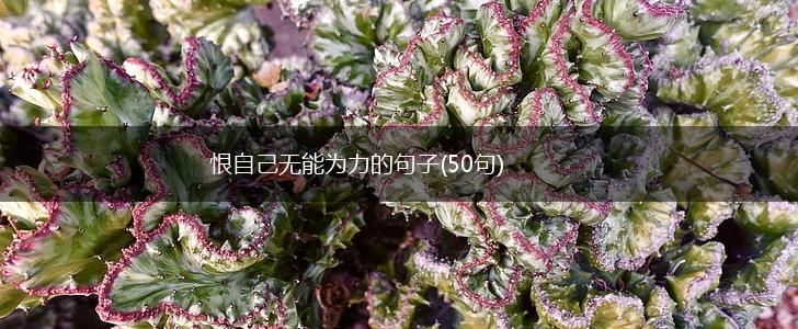 恨自己无能为力的句子(50句),第1张