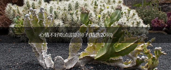 心情不好吃点甜的句子(精选20句),第1张