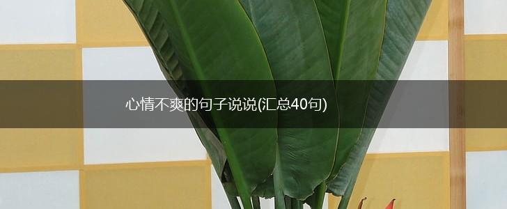 心情不爽的句子说说(汇总40句),第1张