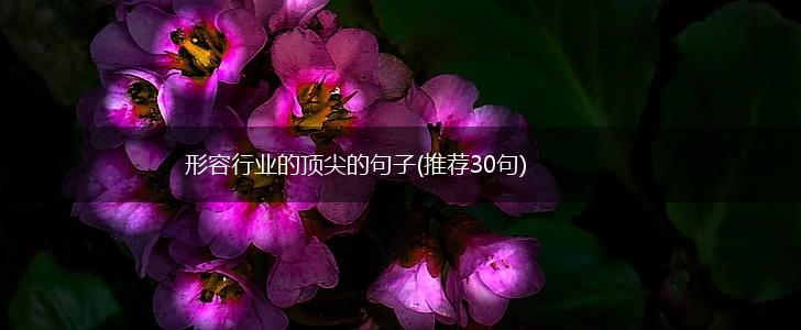 形容行业的顶尖的句子(推荐30句),第1张
