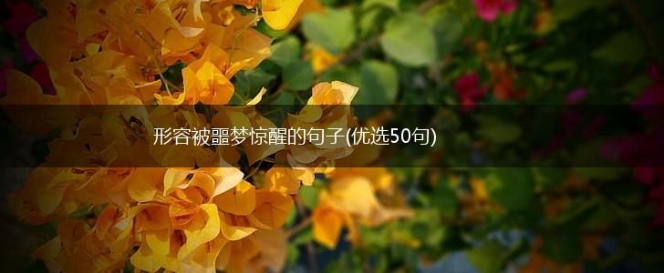 形容被噩梦惊醒的句子(优选50句),第1张