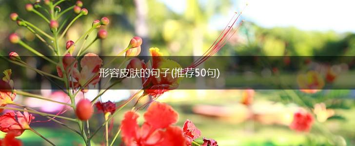 形容皮肤的句子(推荐50句),第1张