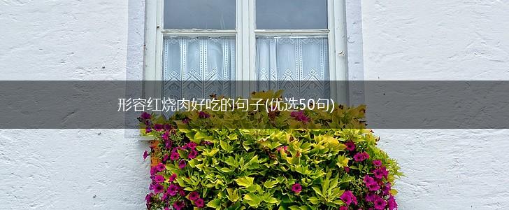 形容红烧肉好吃的句子(优选50句),第1张