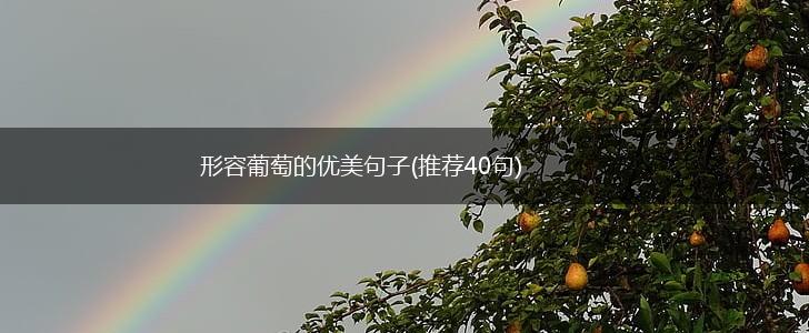 形容葡萄的优美句子(推荐40句),第1张