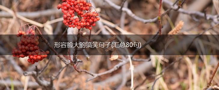 形容脸大的搞笑句子(汇总80句),第1张