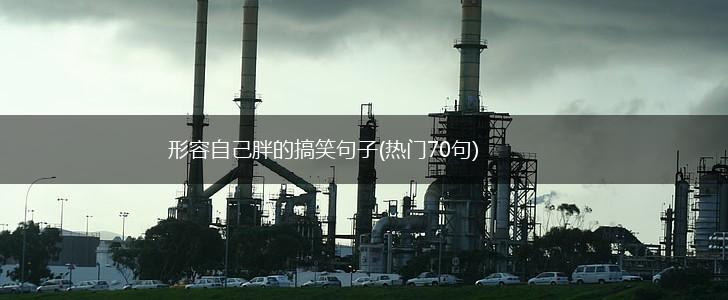 形容自己胖的搞笑句子(热门70句),第1张