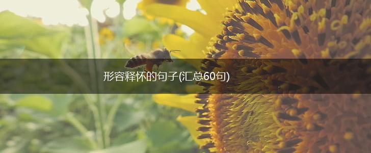 形容释怀的句子(汇总60句),第1张
