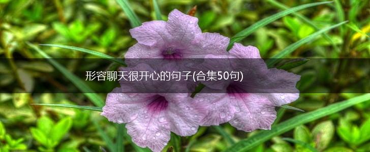 形容聊天很开心的句子(合集50句),第1张