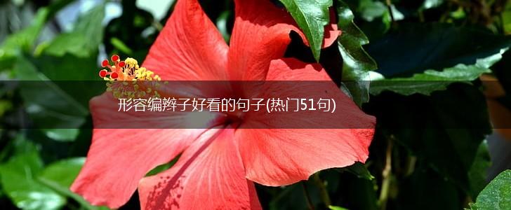 形容编辫子好看的句子(热门51句),第1张