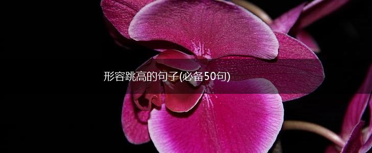 形容跳高的句子(必备50句),第1张