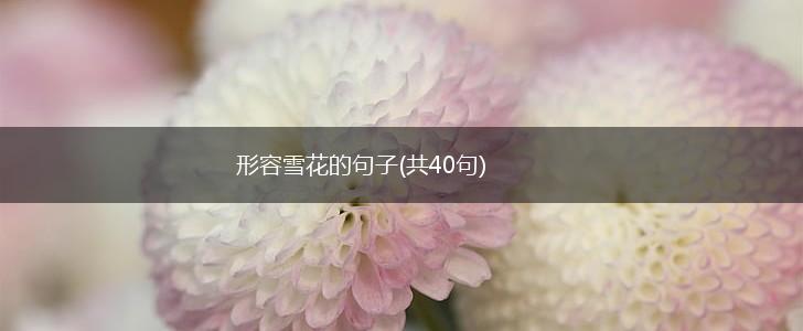 形容雪花的句子(共40句),第1张