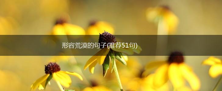 形容荒漠的句子(推荐51句),第1张
