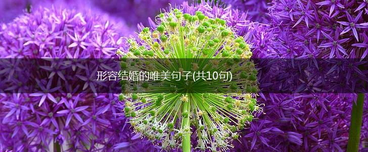 形容结婚的唯美句子(共10句),第1张