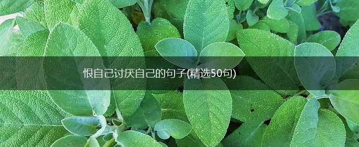 恨自己讨厌自己的句子(精选50句),第1张