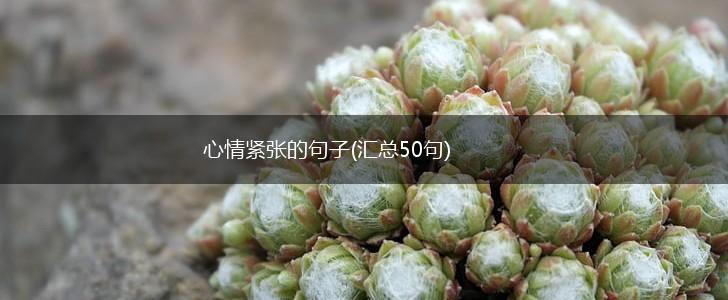 心情紧张的句子(汇总50句),第1张