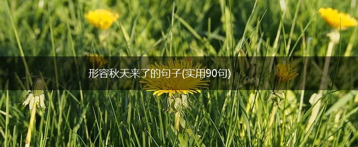形容秋天来了的句子(实用90句),第1张