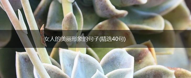 女人的美丽形象的句子(精选40句),第1张