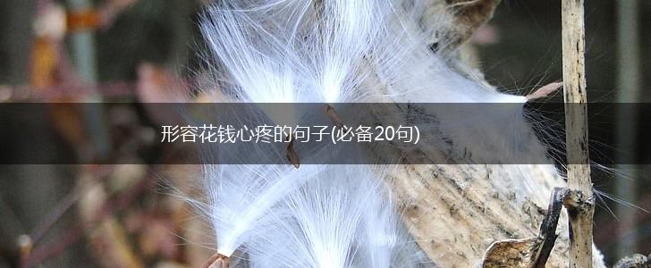 形容花钱心疼的句子(必备20句),第1张