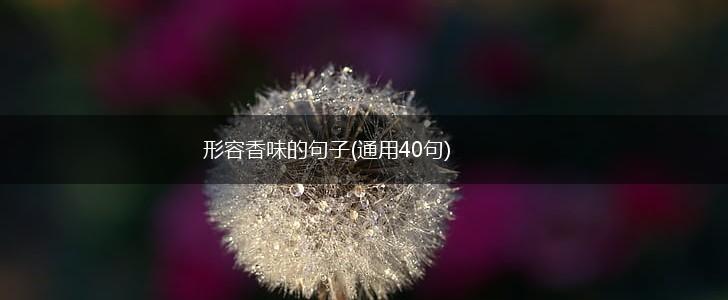 形容香味的句子(通用40句),第1张