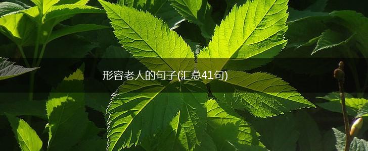 形容老人的句子(汇总41句),第1张