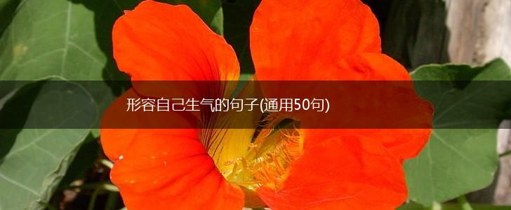 形容自己生气的句子(通用50句),第1张