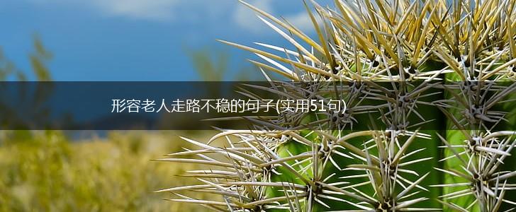 形容老人走路不稳的句子(实用51句),第1张