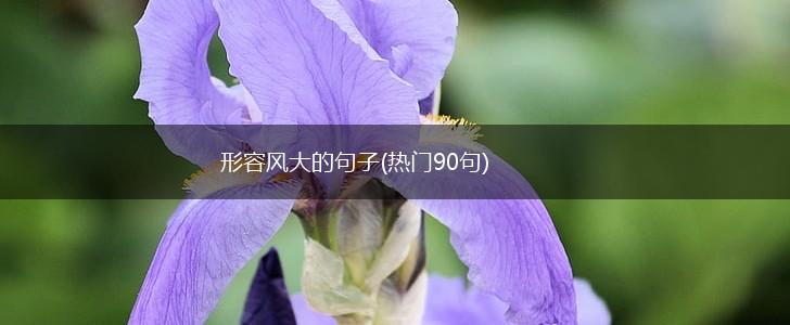 形容风大的句子(热门90句),第1张
