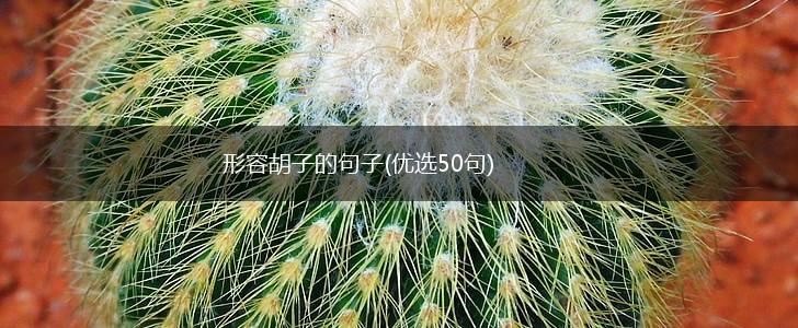 形容胡子的句子(优选50句),第1张