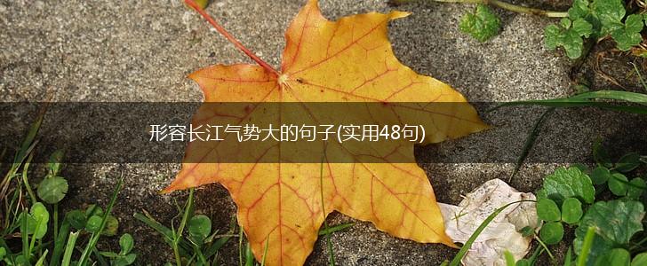 形容长江气势大的句子(实用48句),第1张