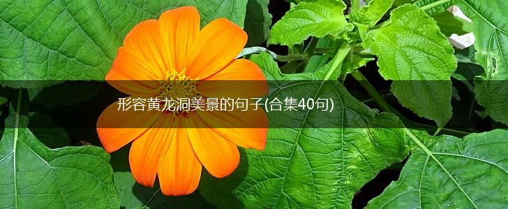 形容黄龙洞美景的句子(合集40句),第1张
