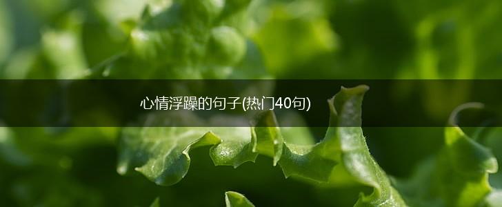 心情浮躁的句子(热门40句),第1张