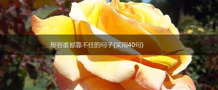 形容谁都靠不住的句子(实用40句),第1张