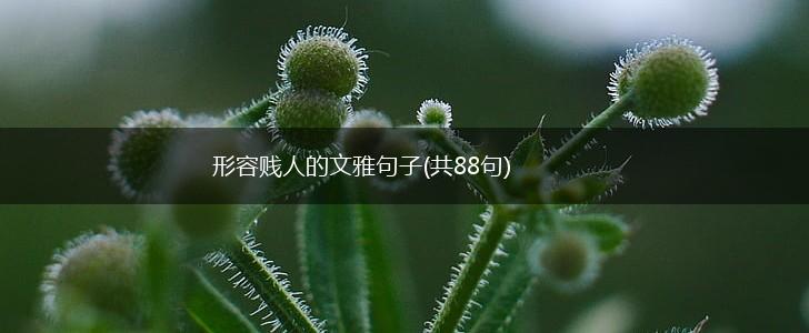 形容贱人的文雅句子(共88句),第1张