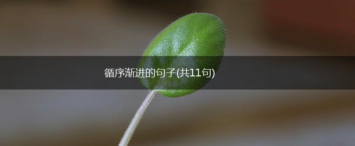 循序渐进的句子(共11句),第1张