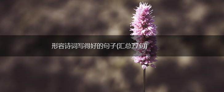 形容诗词写得好的句子(汇总77句),第1张