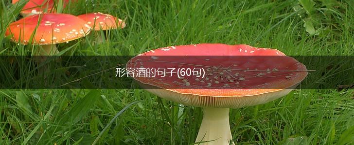 形容酒的句子(60句),第1张